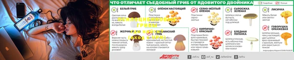 дживик Балабаново