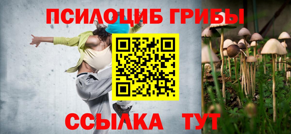 Бор  Псилоцибиновые грибы мухоморы  Вход с VPN  Псилоцибиновые грибы Magic Shrooms 