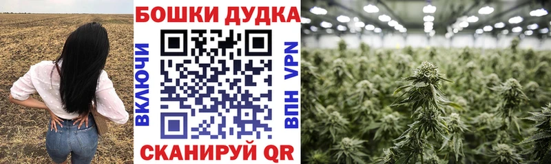 дарнет шоп  Бор  Бошки марихуана конопля 